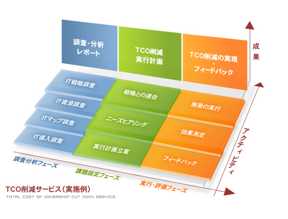 TCO팸
