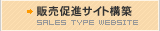 ̔iTCg\z